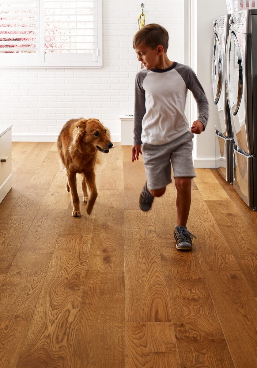 Pet friendly floor | Floor to Ceiling Hayward